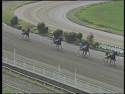 Trotto 04/06/2016 - prova di qualifica