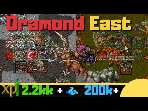 EK 150+ Oramond East & High Class Minotaurs [Where to Hunt Solo Knight]
