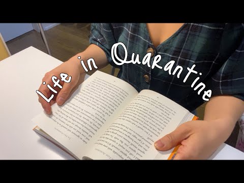 Life in Quarantine: studying as a polyglot, cooking, playing the piano and working out