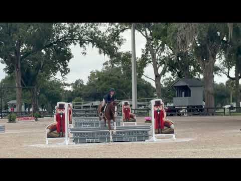 ORLANDO video 4