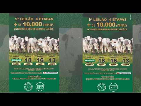 9º LEILÃO 4 ETAPAS - VALE DO MEIA PONTE - INHUMAS - LEILÃO VIRTUAL E PRESENC. - 18 DE ABRIL DE 2026.
