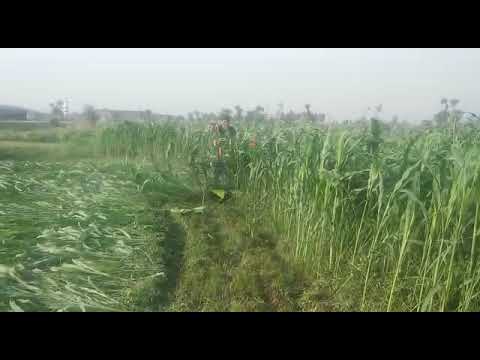 Wheat Cutting Machine, Fodders, Reapers