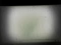 The Boss Baby End Credits