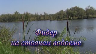 Ловля карася на фидер в стоячей воде весной