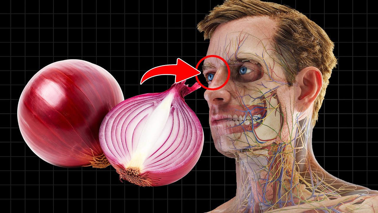 12 Health Benefits of Eating Raw Onions Every Day