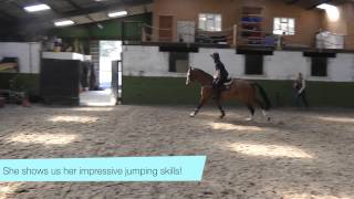 Behind-the-scenes at Laura Collett's yard!