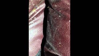 Bed Bugs found in Leather Chair - Clark Pest Remedy, Atlanta,Georgia