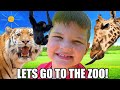 CALEB And MOM GO To The ZOO And LEARN ABOUT ZOO ANIMALS