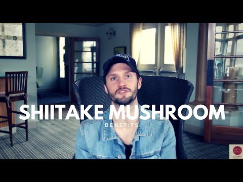 About Shitake Mushroom