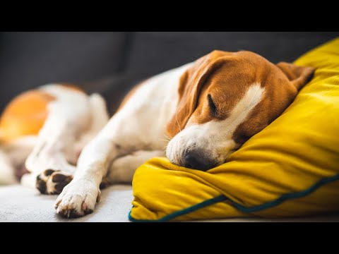 435 Hz | Positive Energy  {Healing Low Frequency} | Meditation Music, Yoga & Raise Positive Vibes