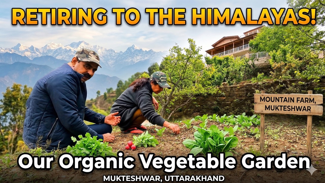 Our Peaceful Retired Life in the Himalayas 🏔️ Organic Farming in Mukteshwar | Living Our Dream