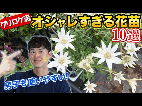 そよ風の眺めが楽しめる花の生垣トップ 3