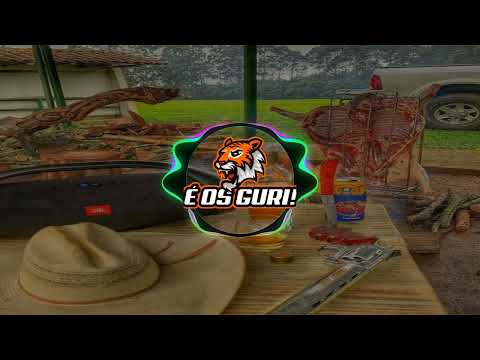 Pedro Libe e Jorge & Mateus - Nem balancei #ÉOSGURI!