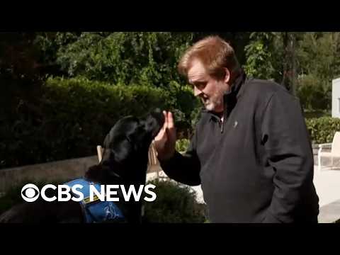 How a service dog changed a disabled veteran's life
