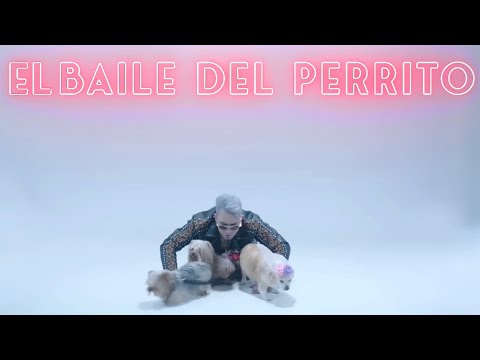 El baile del perrito - Wilfrido Vargas (Cover by Lessing Kérguelen & Wilfrido Vargas)