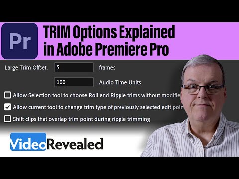 Organizing your media in Adobe Premiere Pro