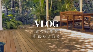 休みだが休みでない。報酬はみかんとバナナ