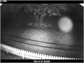 Proctor Rd stalker 11/2011