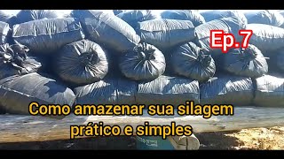 como armazenar sua silagem prático e simples,para não ter problema com rato