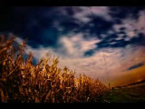 Christie Front Drive-Field