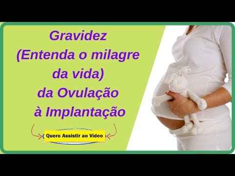 Gravidez (Entenda o Milagre da Vida) da Ovulação à Implantação.