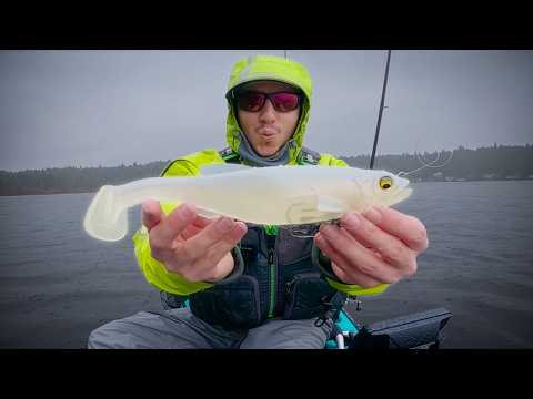 I Threw the Swimbait That Caught an 18lb Largemouth