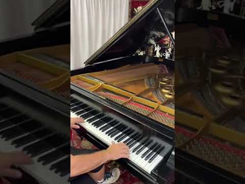 Steinway & Sons Model L Baby Grand Piano – Classic image 11