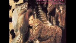 Dead Or Alive - You Make Me Wanna