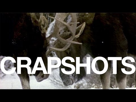 The Moose || Crapshots Ep715