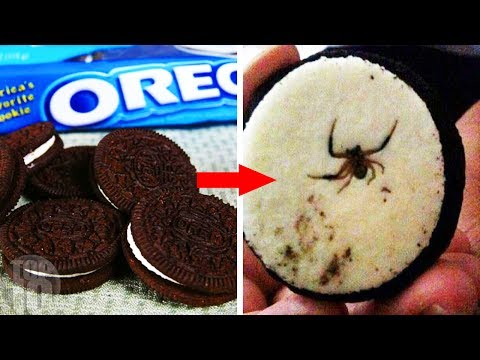 10 Shocking Things Found In Your Favourite Foods!