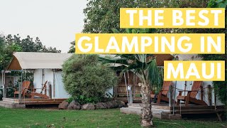 Why You Will Love Glamping in Maui: Camp Olowalu (2020) Review and Olowalu Kayak Snorkeling
