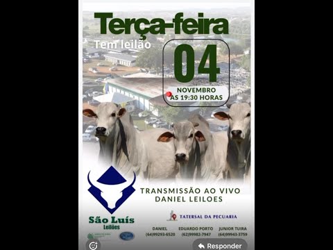 São Luís de Montes Belos  - GO  04/11/2025