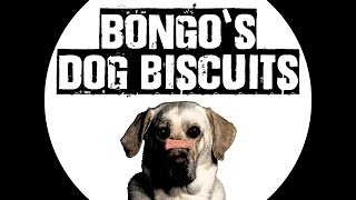 Bongo's Dog Biscuits - Jam Session (extrait)