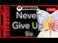 Never Give Up (LOWER -3) - Sia - Piano Karaoke Instrumental