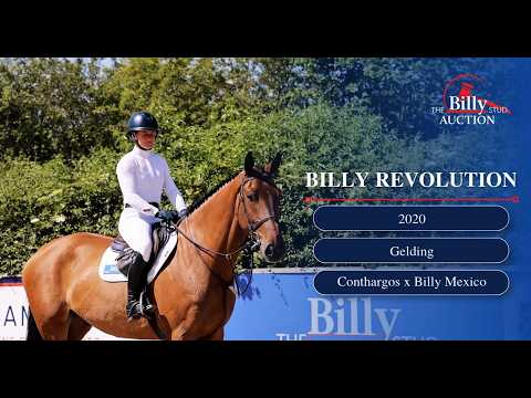 Billy Revolution
