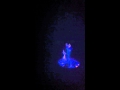 Conjuro de la Queimada
