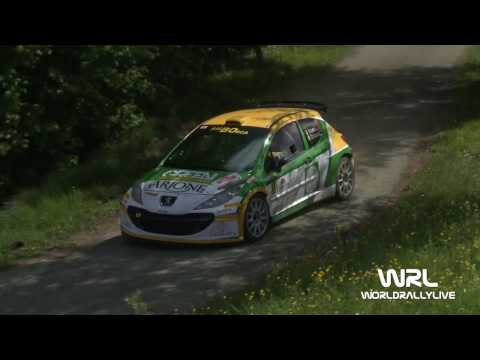 Clip Personalizzata Arione - Culasso Peugeot 207 Super 2000 29° Rally del Tartufo 2017