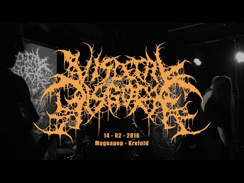 VISCERAL DISGORGE (Full Set) - 14/02/2016