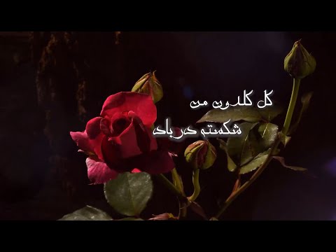 نماهنگ فوق العاده از ترانه #گل گلدون من #سیمین غانم