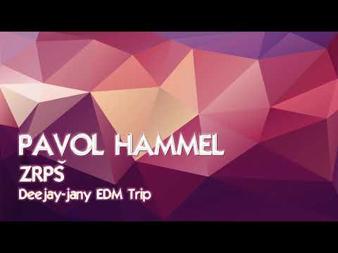 Pavol Hammel - ZRPŠ (Deejay-jany EDM Trip) ( 2019 )