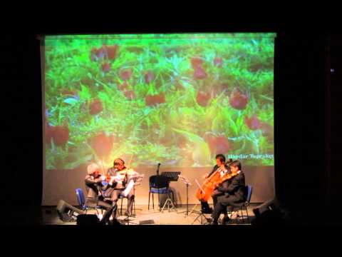 Anadolu Quartet - Şivano (Dersim Konseri 2013)