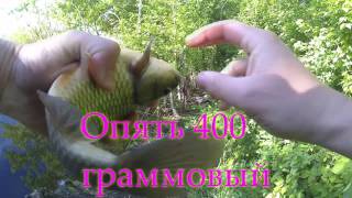 Где ловят карасей в тамбовской области