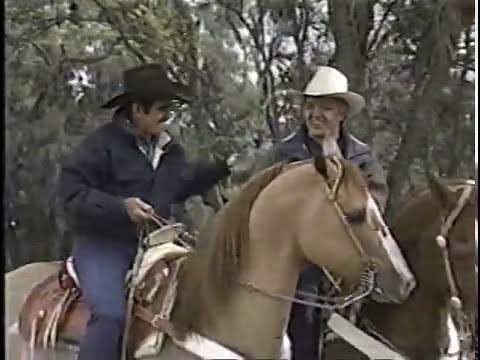VICENTE FERNÁNDEZ Y ALBERTO VÁZQUEZ CANTAN "NO VOLVERÉ" CON EL MARIACHI DE AMÉRICA.