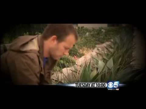 Sexual Abuse Mormon Church Invest.wmv