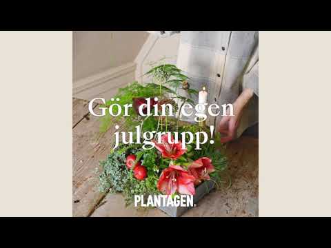 Gör en julgrupp och nyårsgrupp i ett