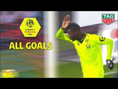 Goals compilation : Week 20 / Ligue 1 Conforama 2018-19