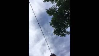 The queers&quot; fuck this world&quot;