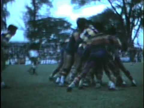 Bradby - 1977 Colombo Leg