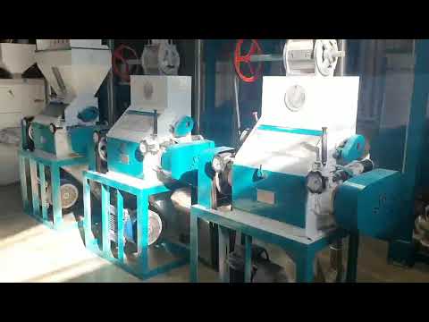 30t maize meal milling video took by our client in Africa. Good market with our quality mill.