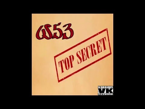 W53 - FALSOS (BORJITA)